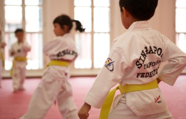 alpha martial arts2